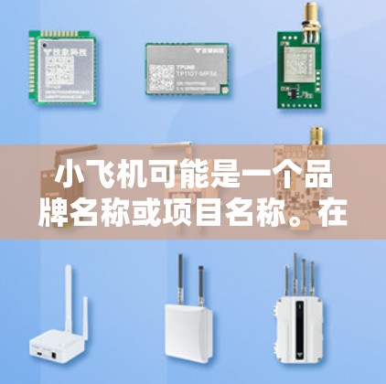 小飞机可能是一个品牌名称或项目名称。在国际业务中，代理海外网络通常涉及跨国合作、市场拓展和资源整合等多个方面。以下是一些可能的步骤和考虑因素