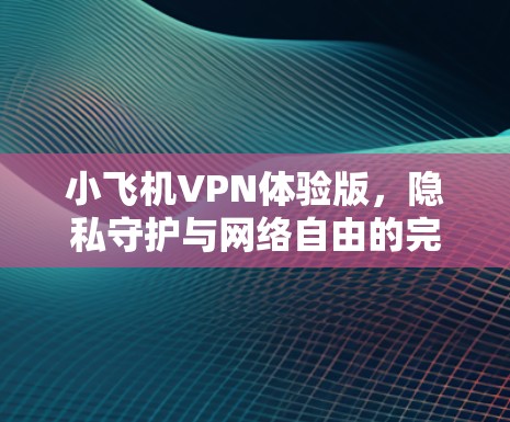 小飞机VPN体验版，隐私守护与网络自由的完美结合