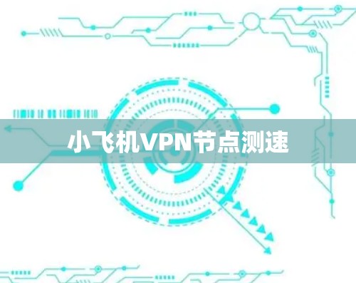 小飞机VPN节点测速