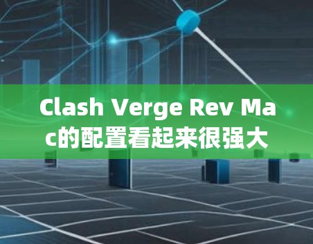 Clash Verge Rev Mac的配置看起来很强大，能够满足大多数高性能需求。以下是对各个配置的分析和建议