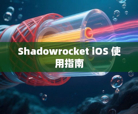 Shadowrocket iOS 使用指南