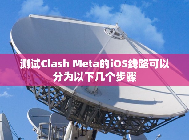 测试Clash Meta的iOS线路可以分为以下几个步骤