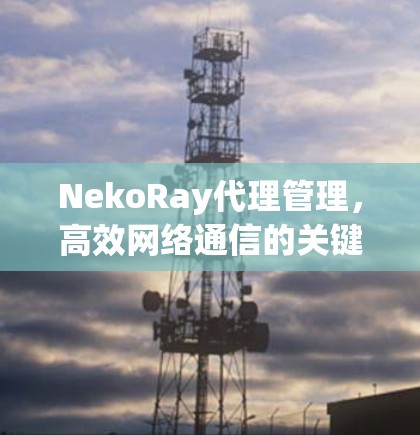 NekoRay代理管理，高效网络通信的关键