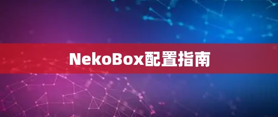 NekoBox配置指南