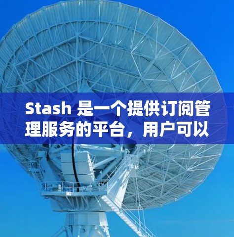 Stash 是一个提供订阅管理服务的平台，用户可以通过 Stash 来管理多种订阅服务。订阅更新通常是自动进行的，但如果出现问题，可以按照以下步骤进行检查和解决
