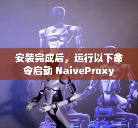 安装完成后，运行以下命令启动 NaiveProxy