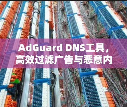 AdGuard DNS工具，高效过滤广告与恶意内容，提升网络安全