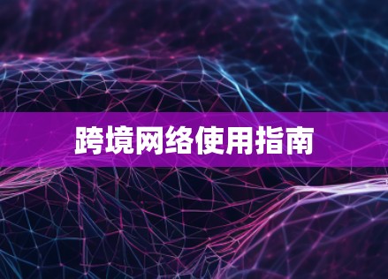 跨境网络使用指南