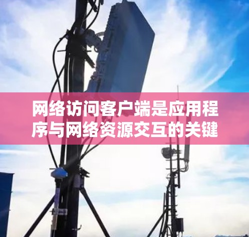 网络访问客户端是应用程序与网络资源交互的关键组件，广泛应用于多个领域，支持各种协议和功能。以下是对网络访问客户端的详细分析