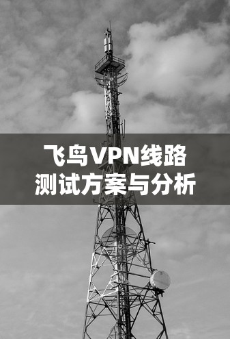 飞鸟VPN线路测试方案与分析