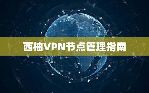 西柚VPN节点管理指南