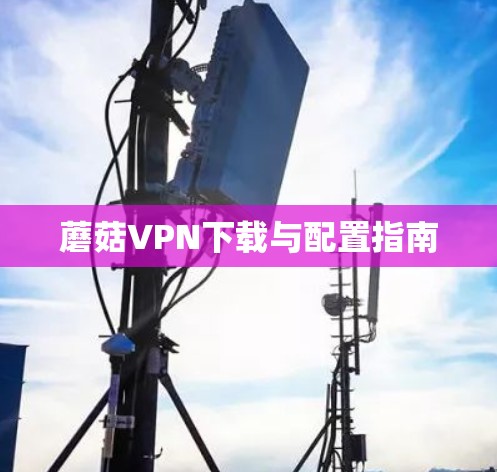 蘑菇VPN下载与配置指南