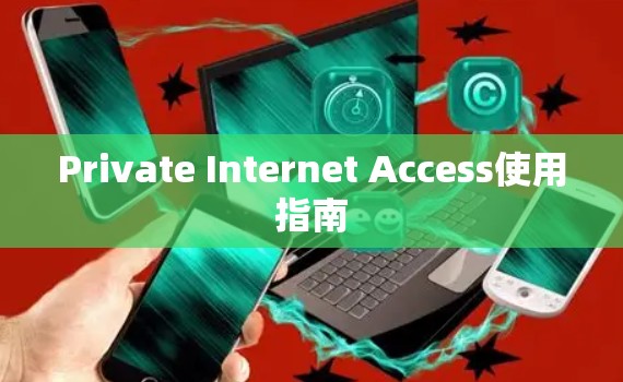 Private Internet Access使用指南