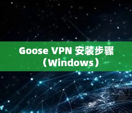 Goose VPN 安装步骤（Windows）