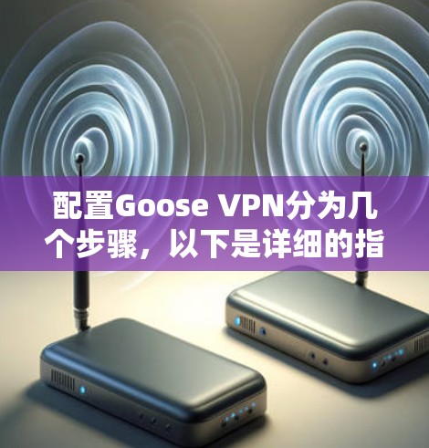 配置Goose VPN分为几个步骤，以下是详细的指南
