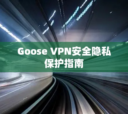 Goose VPN安全隐私保护指南