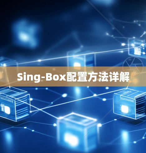 Sing-Box配置方法详解