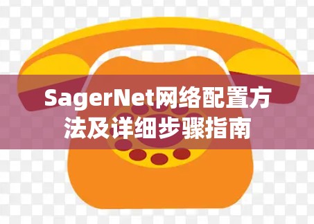 SagerNet网络配置方法及详细步骤指南