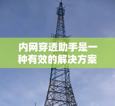 内网穿透助手是一种有效的解决方案，用于在防火墙或网络限制下访问内部网络资源。以下是对内网穿透助手的详细总结
