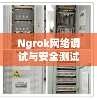 Ngrok网络调试与安全测试工具入门详解