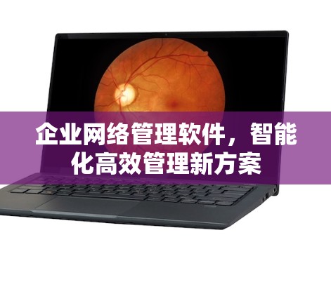 企业网络管理软件，智能化高效管理新方案