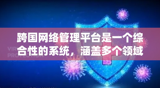 跨国网络管理平台是一个综合性的系统，涵盖多个领域，旨在协调和管理跨国业务。以下是对跨国网络管理平台的详细分析和总结