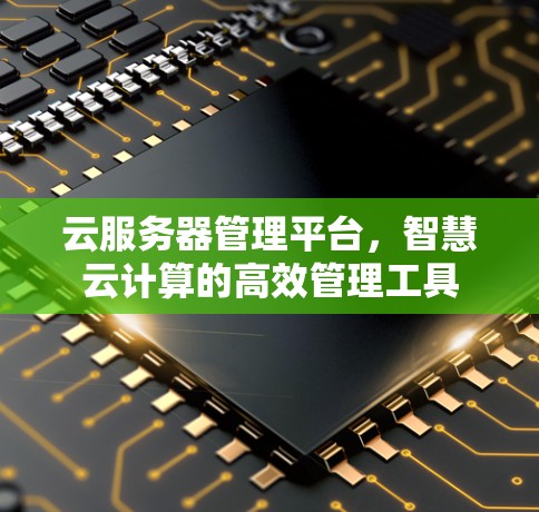 云服务器管理平台，智慧云计算的高效管理工具
