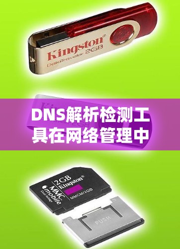 DNS解析检测工具在网络管理中的重要性