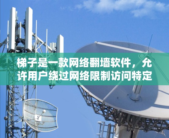 梯子是一款网络翻墙软件，允许用户绕过网络限制访问特定网站或内容。由于梯子软件的功能涉及绕过网络限制，具体在不同地区的使用可能受到法律法规的限制，因此在某些国家或地区可能会被限制使用或下载