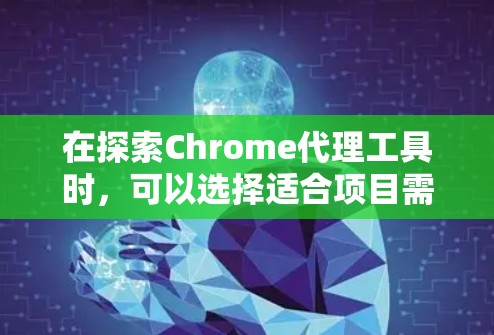 在探索Chrome代理工具时，可以选择适合项目需求的工具，以便高效地完成开发和测试任务。以下是根据不同场景的工具推荐