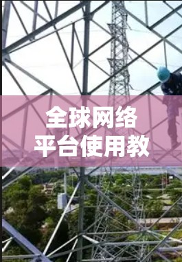 全球网络平台使用教程
