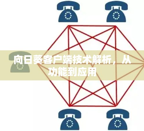 向日葵客户端技术解析，从功能到应用