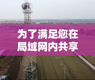为了满足您在局域网内共享文件的需求，以下是分步骤的指南