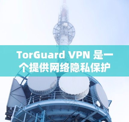 TorGuard VPN 是一个提供网络隐私保护和安全访问的服务，用户可以通过它来保护自己的网络活动不被追踪，同时访问受限制的网络资源。以下是使用 TorGuard VPN 的基本方法