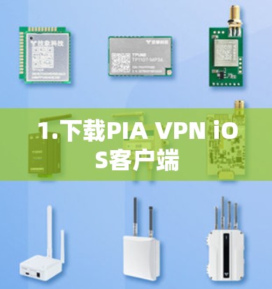 1.下载PIA VPN iOS客户端