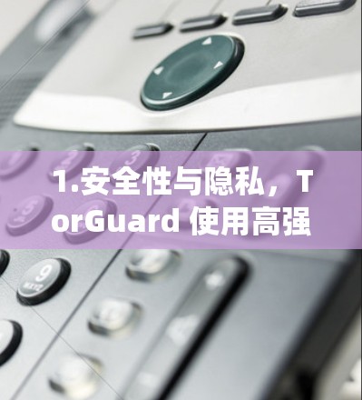 1.安全性与隐私，TorGuard 使用高强度的加密协议，如 OpenVPN、PPTP 和 L2TP/IPSec，确保数据传输安全，防止被第三方窃取