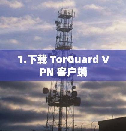 1.下载 TorGuard VPN 客户端