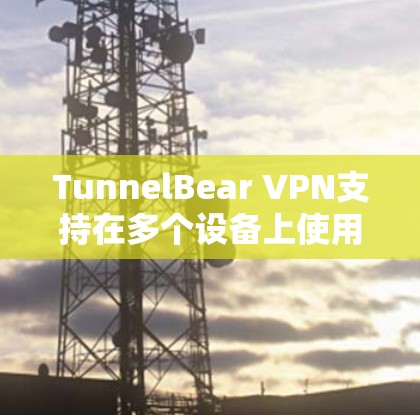 TunnelBear VPN支持在多个设备上使用，但需要注意以下几点