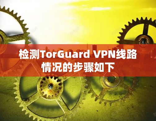 检测TorGuard VPN线路情况的步骤如下