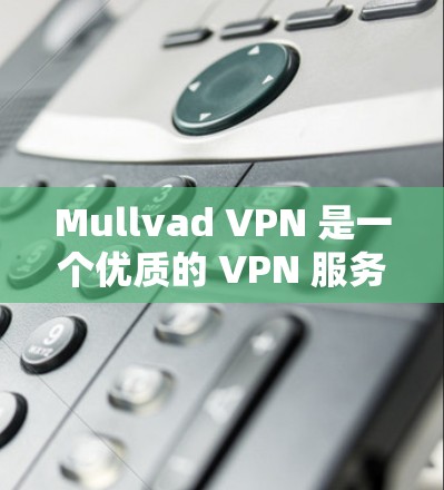 Mullvad VPN 是一个优质的 VPN 服务提供商，适合需要高安全性和稳定性的用户。以下是对 Mullvad VPN 的详细分析和建议