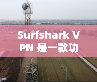 Surfshark VPN 是一款功能丰富的网络安全解决方案，适合对隐私和网络安全有较高要求的用户。以下是对其功能的详细分析和总结