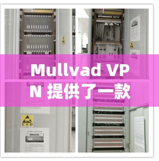 Mullvad VPN 提供了一款安全且高效的 VPN 客户端，适用于多种操作系统和设备。以下是关于 Mullvad VPN 客户端的一些推荐和特点