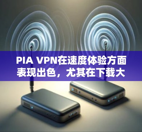 PIA VPN在速度体验方面表现出色，尤其在下载大文件和P2P下载方面。以下是对PIA VPN速度的详细分析和建议