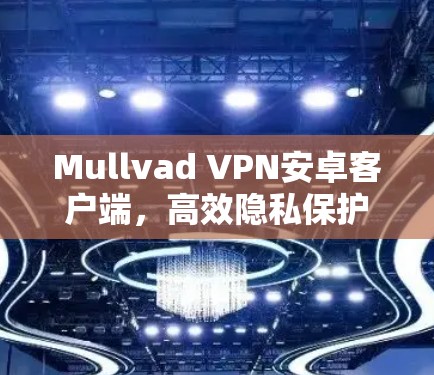 Mullvad VPN安卓客户端，高效隐私保护与快速连接体验