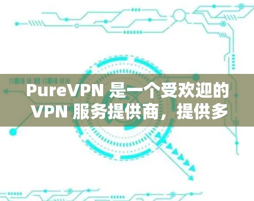 PureVPN 是一个受欢迎的 VPN 服务提供商，提供多种套餐以满足不同的用户需求。以下是一些关于 PureVPN 的推荐和评估