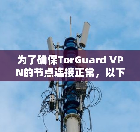 为了确保TorGuard VPN的节点连接正常，以下是一步步的测试指南