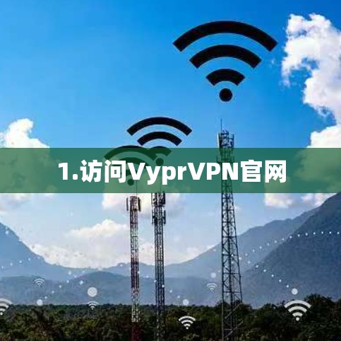 1.访问VyprVPN官网
