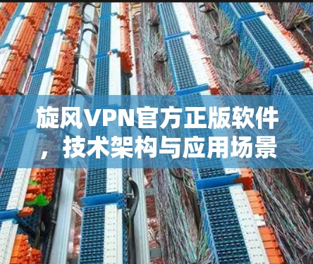 旋风VPN官方正版软件，技术架构与应用场景分析