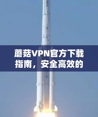 蘑菇VPN官方下载指南，安全高效的网络连接解决方案