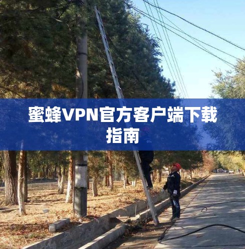 蜜蜂VPN官方客户端下载指南